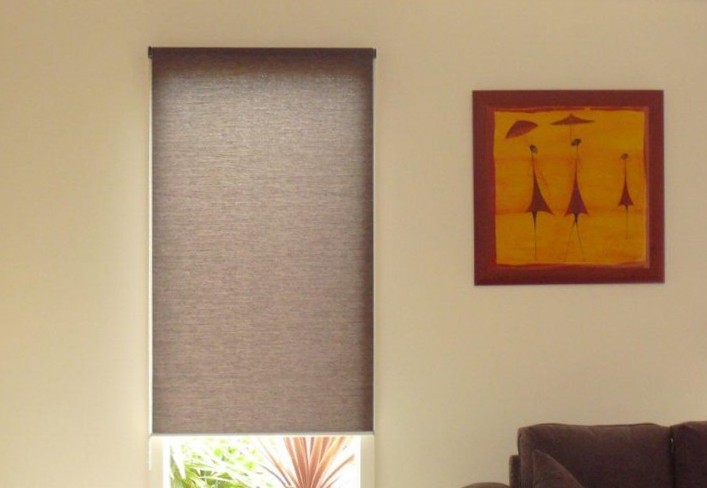 Translucent Roller Blind